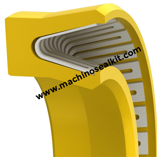 PTFE Rod Seal with SS Spring